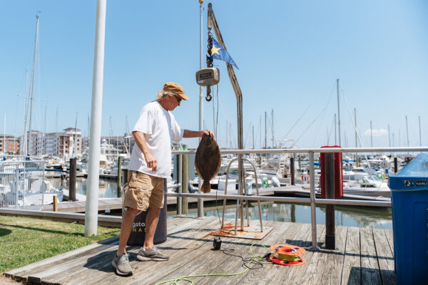 fish weigh station at little creek