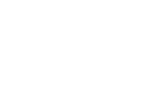 45 Years of Excellence - Morningstar Properties